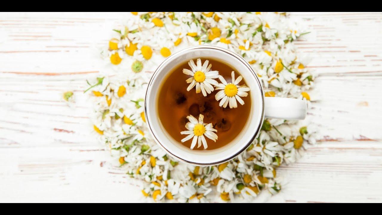 'Video thumbnail for Chamomile Tea, Amazing 8 Benefits Of This Beverage'
