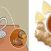 These Are the 8 Health Benefits of Drinking Ginger Tea with Honey Every Day