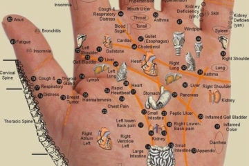 Every Body Part is in the Palm of Your Hand-Press the Points for whatever Pain You Have