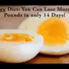 The Boiled Egg Diet: Lose 20 Pounds in just 2 Weeks