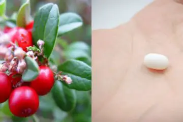 Ditch Toxic Aspirin: 3 Drops of this Essential Oil Equals One Aspirin
