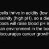 The King of Alkaline Foods: Strengthens the Liver, Neutralizes Toxins & Detoxifies the Blood