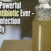 The Best Natural Antibiotic that Kills every Infection