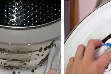 No One Knows that Toxic Mold Is Hiding in Their Washing Machine! Here Is How to Get Rid of It