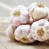 Garlic Kills 14 Kinds of Cancer & 13 Types of Infections; so, Why Do Not Doctors Prescribe It?