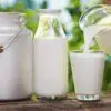 European Study Discovered that Raw Milk Boosts the Immunity & Prevents Colds & Infections