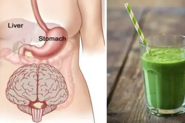 Super Green Detox Drink that will Remove all Toxins & Fat from Your Body