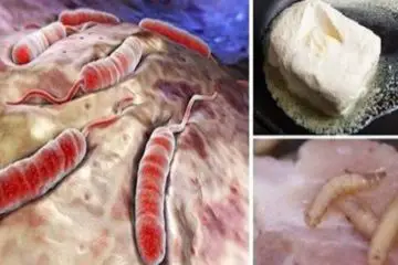 Oncologists Urge You to Stop Eating these 8 Foods that Are Proven to Cause Cancer