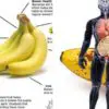 By Eating 2 Bananas Daily in a Month, this Will Happen