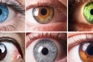 Science: Your Eye Color Reveals a lot about You