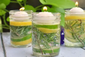 Put these Bug-Repelling Mason Jars outside & You Will never See a Mosquito