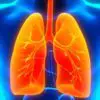Plant Compound Found to Reverse Lung Damage Linked to COPD