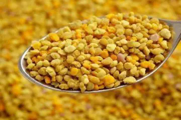 What a Tsp of Bee Pollen can Do for Your Energy, Immunity, Digestion & Inflammation in a Month