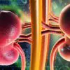 11 of the Worst Habits that Damage the Kidneys
