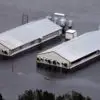 While Thousands of People Evacuated from Hurricane Florence, Millions of Animals Drowned on Factory Farms