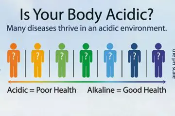 5 Steps To An Alkaline Body For Energy, Weight Loss, And Slower Aging