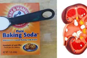 Eat ½ Tsp of Baking Soda Daily & this Happens to Your Kidneys