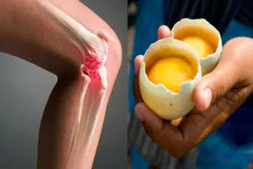 The most Effective Method to Use 2 Eggs to Treat Knee Pain & Repair the Joints