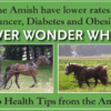 What Can We Learn about Healthy Living from the Amish?