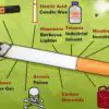 Every Time You Smoke, this Is what You Are Actually Consuming