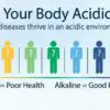 Your Body Is Acidic: Here Is what You Need to Do