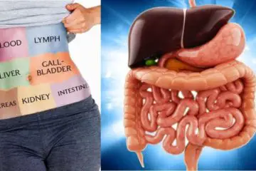 Here Is How to Detox Every Organ, Boost Your Immunity & never Be Sick or Tired again