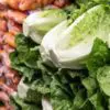 E. Coli Outbreak Linked to Romaine Lettuce: Do Not Eat this Salad!