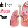 7 Best Foods ever to Flush Mucus from the Body