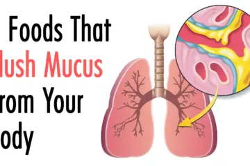 7 Best Foods ever to Flush Mucus from the Body
