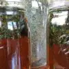 Nettle Infusions: Learn How to Make Them and Boost Your Energy & Vitality & Alleviate Allergies