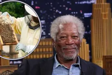 Inspirational Stories: Morgan Freeman Converts His 124 Acre Ranch into a Bee Sanctuary to Save Bees