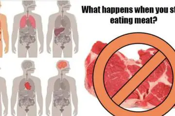 These 7 Things Will Happen to Your Body when You Stop Eating Meat