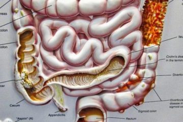 Gut Bacteria Influences Your Mind: Learn How