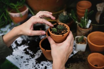 Gardening-A Natural Antidepressant, a Study Shows