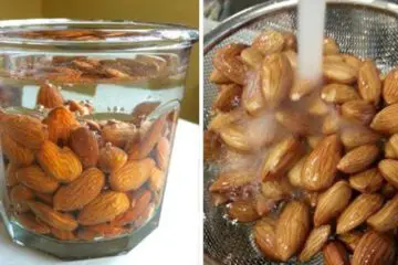 Soak 4 Almonds Overnight & Eat Them in the Morning: This Amazing Thing Will Happen