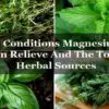 Crucial Mineral: Magnesium Can Relieve these 10 Conditions (+5 Herbal Sources)