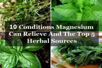 Crucial Mineral: Magnesium Can Relieve these 10 Conditions (+5 Herbal Sources)