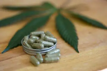 Cannabis Capsule: More Potent than Painkillers?