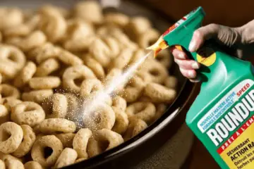 Glyphosate in Food: Full List of Products that Contain this Cancerous Chemical