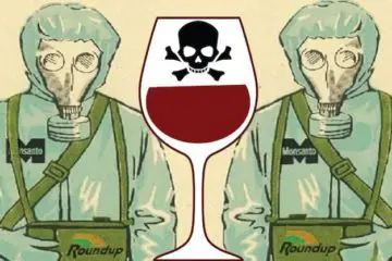 Glyphosate: Monsanto’s Toxic Chemical Present in 100 % of California Wines
