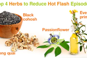 Ease Your Menopause Symptoms: Natural Cures for Hot Flashes