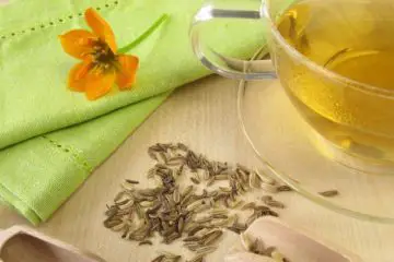 The Amazing Fennel Tea: It Balances the Hormones & Strengthens the Immunity