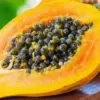 Papaya’s Scientifically Proven Health Advantages & Uses for its Seeds