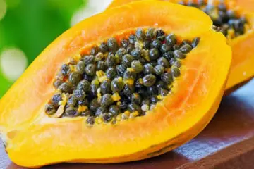 Papaya’s Scientifically Proven Health Advantages & Uses for its Seeds