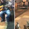Street Singer Ignored by everyone until 4 Kittens Come to Show Support