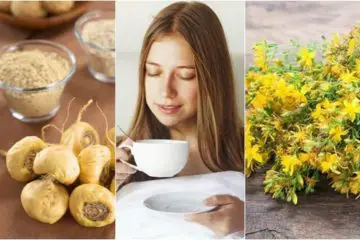 5 Best Herbal Aphrodisiacs to Increase Sex Drive Naturally
