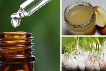 5 Natural Antibiotics: More Effective than Over-the-Counter Meds!