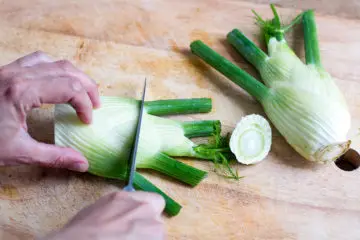 Add more Fennel to Your Diet: It Boosts the Digestion & Averts Cancer