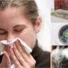 Learn these 7 Useful Ways to Naturally Flu-Proof Your Home