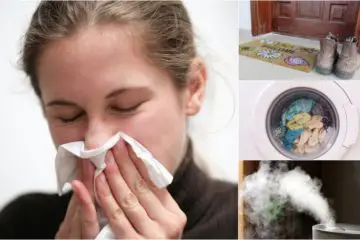 Learn these 7 Useful Ways to Naturally Flu-Proof Your Home